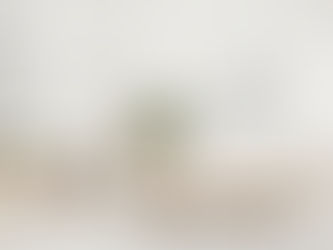 Let Us Manage Your Vacation Rental